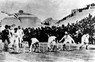 1896年アテネ五輪・陸上100メートルのスタート。左から2人目が優勝したアメリカのバーク　1人だけクラウチングスタートでフォームがちがう