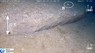 能登半島沖で撮影された海底の段差。ここ数カ月のうちにできたとみられ、能登半島地震でできた可能性がある＝東京大学大気海洋研究所提供