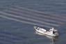 有明海で行われた、養殖ノリの種付け作業＝佐賀市沖で2023年10月28日午前8時4分、本社ヘリから