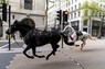 兵士を振り落とした後、ロンドン市内を暴走する騎兵隊の馬＝2024年4月24日、PA通信・AP