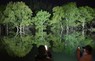 ライトアップされた白川湖の水没林＝山形県飯豊町で2024年4月22日午後8時29分、竹内幹撮影