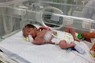 イスラエル軍の攻撃により死亡した妊婦から生まれ、病院の保育器に横たえられた女児＝21日、パレスチナ自治区ガザ最南部ラファ（ロイター＝共同）